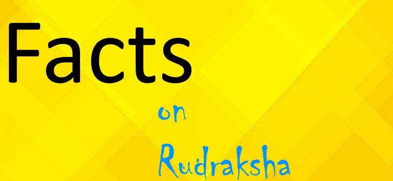 Facts about rudraksha beads
